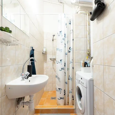 Gellerico At Rakoczi Square *