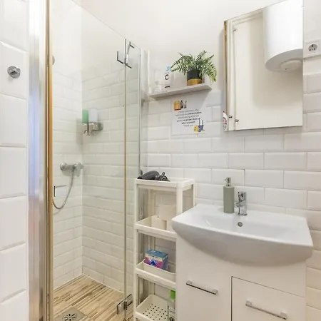 Gellerico At Rakoczi Square *